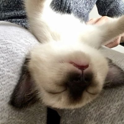 jiwoonzt's profile picture. she’s in idntt heaven. no worries. no judgement.