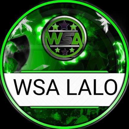 Professional ESports player /
High Legend League Pusher /
Manager & Leader of Wsa Black team
/
Discord : wsalalo