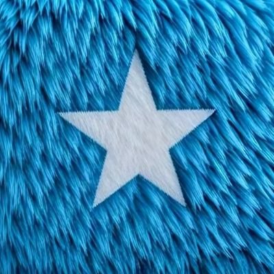 wayrax🇸🇴 Profile