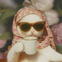 Z ز🪷 (@z3y____) 's Twitter Profile