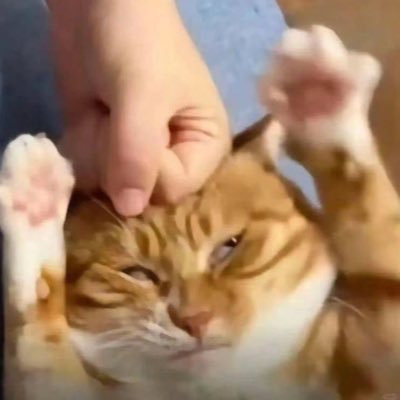 javobjtm_'s profile picture. 