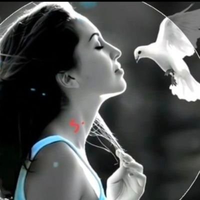 💓(December)💓
🌹💓वो हमें फिर याद आने लगे हैं💓🌹
💝 भूलने में जिनको जमाने लगे हैं 💝