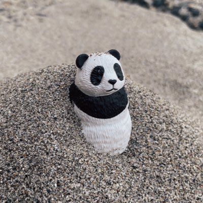 miyu3__3's profile picture. 完全なる独学でwebデザインの勉強をしています🍀📗
