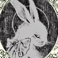 lola (@lalastarfish) 's Twitter Profile