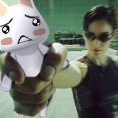 Mizutamari89931's profile picture. 写真で人生を切り取るアカウントです。Vlogも挑戦中。共感したら RT