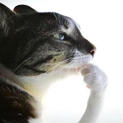 m0ltenx's profile picture. 