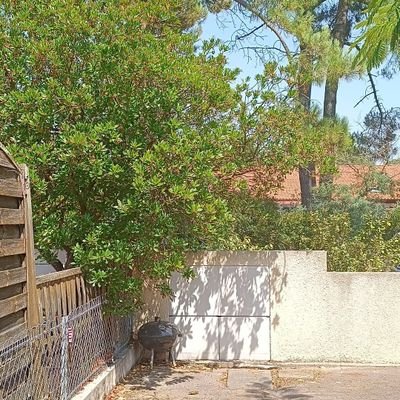 alexis13379's profile picture. Ras