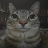 igncukk's profile picture. Faceless YT 🥷