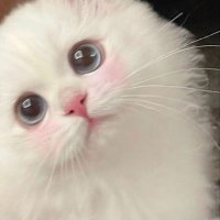 ~ลูกพ่อโทแม่ก้อง꒰⑅ᵕ༚ᵕ꒱˖♡ (@soumine24) 's Twitter Profile