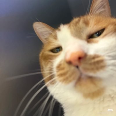 nnannn98's profile picture. ดีใจที่ได้เจอคุณ 🌷🫶🏻🤍