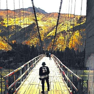 DittoMand's profile picture. 