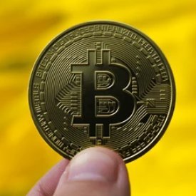 Crypto builder | SoSoValue 10K EXP start