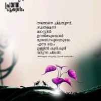 Arjun (@arjun8731170184) 's Twitter Profile