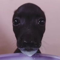 흙묻은감자동글동글 (@user19920904) 's Twitter Profile