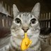 Böşiiieeeğğツ (@tersborbik) Twitter profile photo Böşiiieeeğğツ (@tersborbik) Twitter profile photo