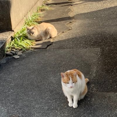 3mituさんのプロフィール画像