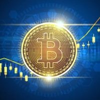 The Bitcoin Opportunity (@bitcoincheckin) 's Twitter Profile