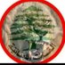 Chady Semaan (@chadysemaanlf) Twitter profile photo Chady Semaan (@chadysemaanlf) Twitter profile photo