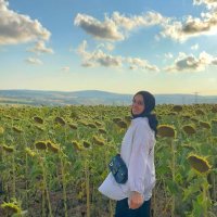 ŞuleNr (@altunslenr) Twitter profile photo