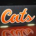 ๐พ Wildcat Basketball ๐ (@wildcatbas20476) Twitter profile photo ๐พ Wildcat Basketball ๐ (@wildcatbas20476) Twitter profile photo