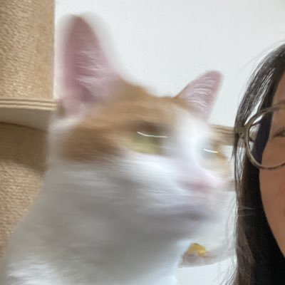 chiasa78's profile picture. music, photos, sometimes traveling.