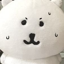제언さんのプロフィール画像