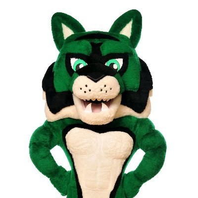 Once a Wildcat, Always a Wildcat. #mychoicemayfield