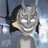 Donnie Dark avatar