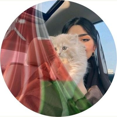 Fmomn's profile picture. 