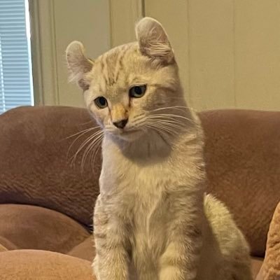 willnrieUS's profile picture. I’m here to watch, hopefully learn, be entertained and write my book