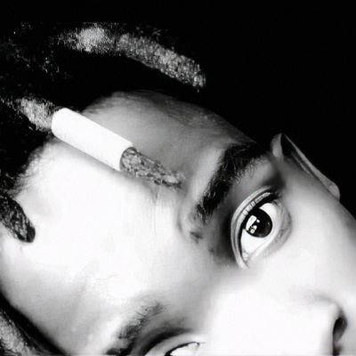 BambinotheBeast's profile picture. 🐾 Laugh. Learn. Dominate. | I post what others think in silence ⚡ | #BeastModeActive