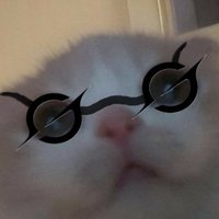 Grrrok (@grrrok_agi) 's Twitter Profile Photo Grrrok (@grrrok_agi) 's Twitter Profile Photo