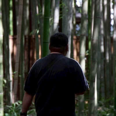 shosho20011105's profile picture. H13 🐜 ずとまよ🦔／高校野球⚾️／レッサーパンダ🐼／猫🐱冷凍みかん🍊