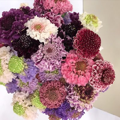 SE1552022855812's profile picture. 