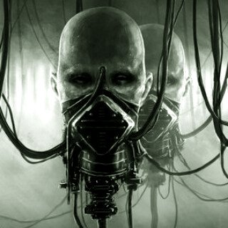 Chaconitracinol's profile picture. 