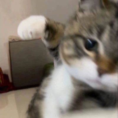 Nxung228680's profile picture. เอาใว้ดูเฉยๆ