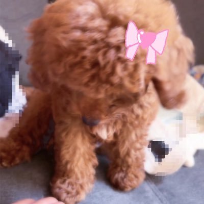 jigoku_com_'s profile picture. ぷらいべーとアカウント！けっこんしてしかいわないです！⊂( i ꒳ i )⊃🩷🪽@U2kyUndarUTxTU