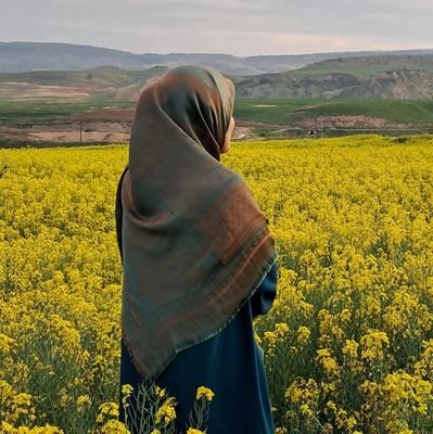 👩💻 مهندسی تکنولوژی نرم افزار 🎓 🇮🇷
موفقیت، نتیجه من میتوانم هاست /عاشق کتاب 📚/فعال فرهنگی