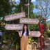 Anchalee (@cnxaychli57546) Twitter profile photo Anchalee (@cnxaychli57546) Twitter profile photo