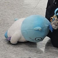 파도 (@pado0719) 's Twitter Profile