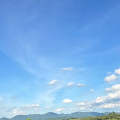 lovelyponpon's profile picture. 
