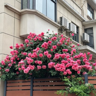 Ameliaztyl's profile picture. Curious mind gal navigating life's ups and downs. Passionate about truth, growth, and making a difference. I like sports, movie, music and politics. 💯