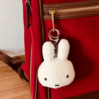 吹奏楽、クラリネット好き🎵ピアニストの清塚信也さん、それから川崎鷹也さんが大好きで応援してます😉時々ポストはしています。
