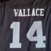 Samuel Wallace (@005aycash) Twitter profile photo Samuel Wallace (@005aycash) Twitter profile photo
