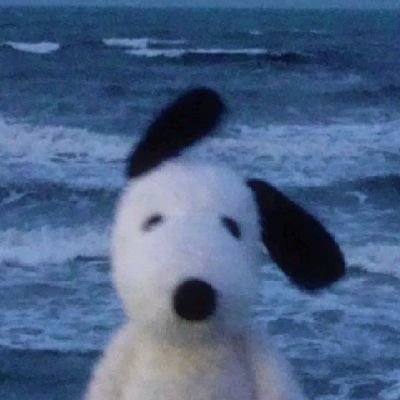 seigen1__'s profile picture. El mejor adc de mi casa 🗣️