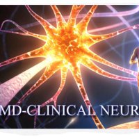 NeuroEdgeX (@neuroedgex) 's Twitter Profile
