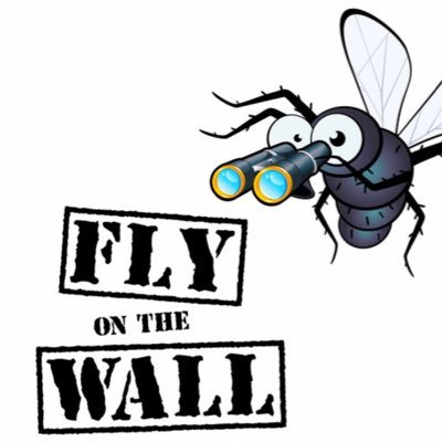 FlyOnTheHill's profile picture. Sometimes I’m buzzin