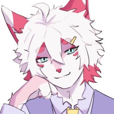 nvnoei's profile picture. cat. meow