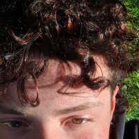 🌿 samaǝl (@deepfriedpibble) 's Twitter Profile