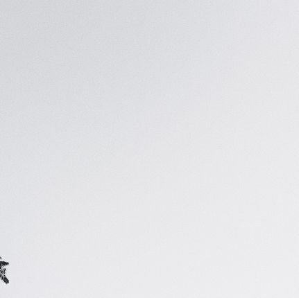 QiuCan29341's profile picture. 